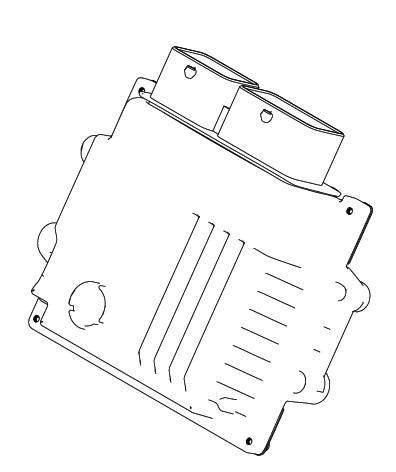 CONTROLLER ASSEMBLYELECTRIC PETROL INJECTION