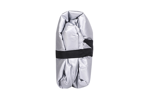 Car Body Cover (Matte) | Celerio